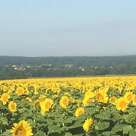 Chateau Des Fouilloux - 別荘