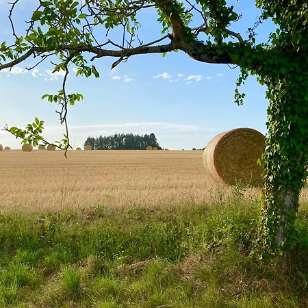 Chateau Des Fouilloux - 別荘 Agris