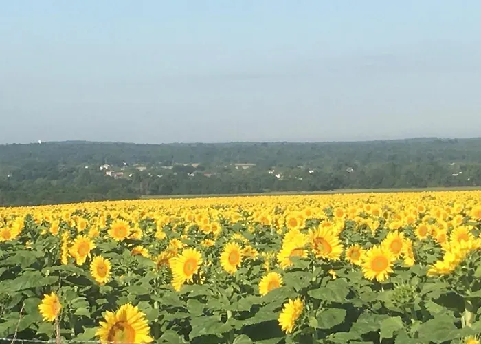 Chateau Des Fouilloux - بيت للعطل