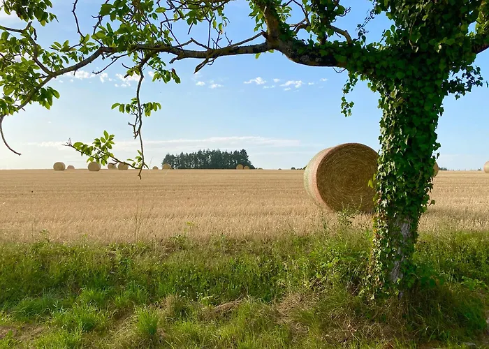 Chateau Des Fouilloux - بيت للعطل Agris