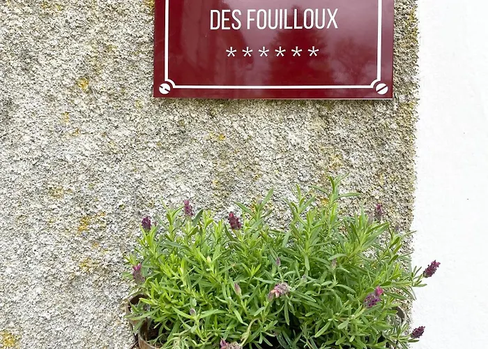 بيت للعطل Chateau Des Fouilloux - *